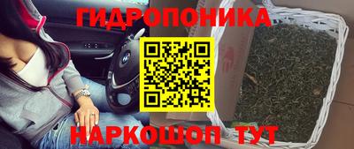 прущие грибы Кингисепп