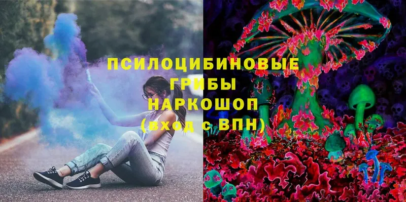 гидра как войти  где купить наркоту  Ставрополь  Галлюциногенные грибы MAGIC MUSHROOMS 