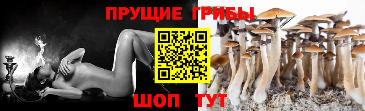 Ставрополь  Псилоцибиновые грибы Psilocybine cubensis  Псилоцибиновые грибы GOLDEN TEACHER  Вход с VPN 