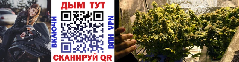 купить наркотики сайты  Ставрополь  Марихуана White Widow 